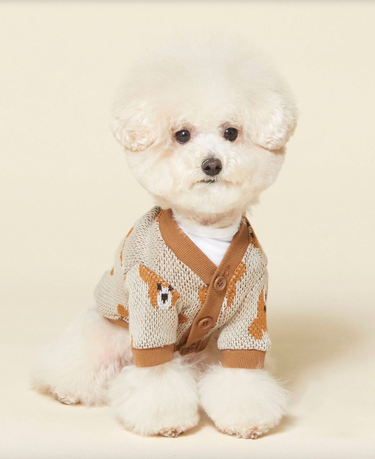 Bear Knit