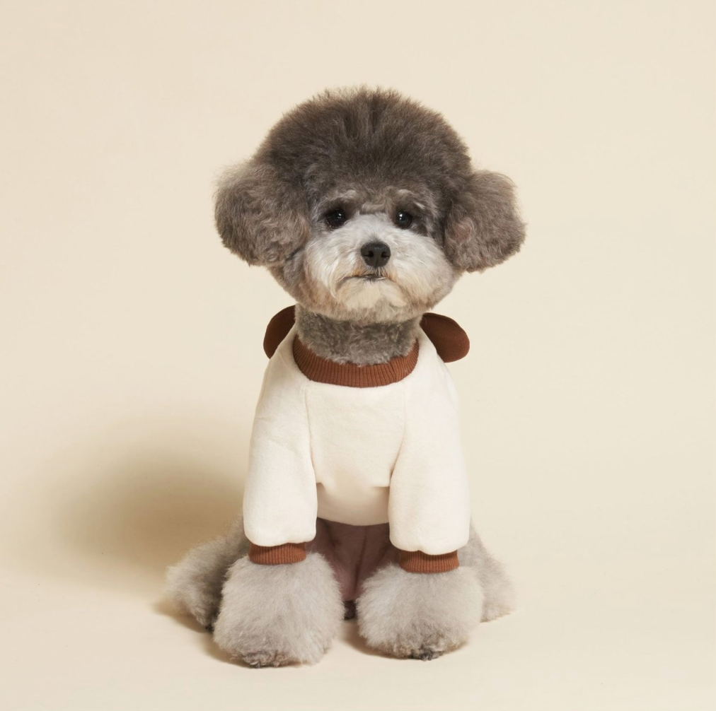 Bear T-shirts