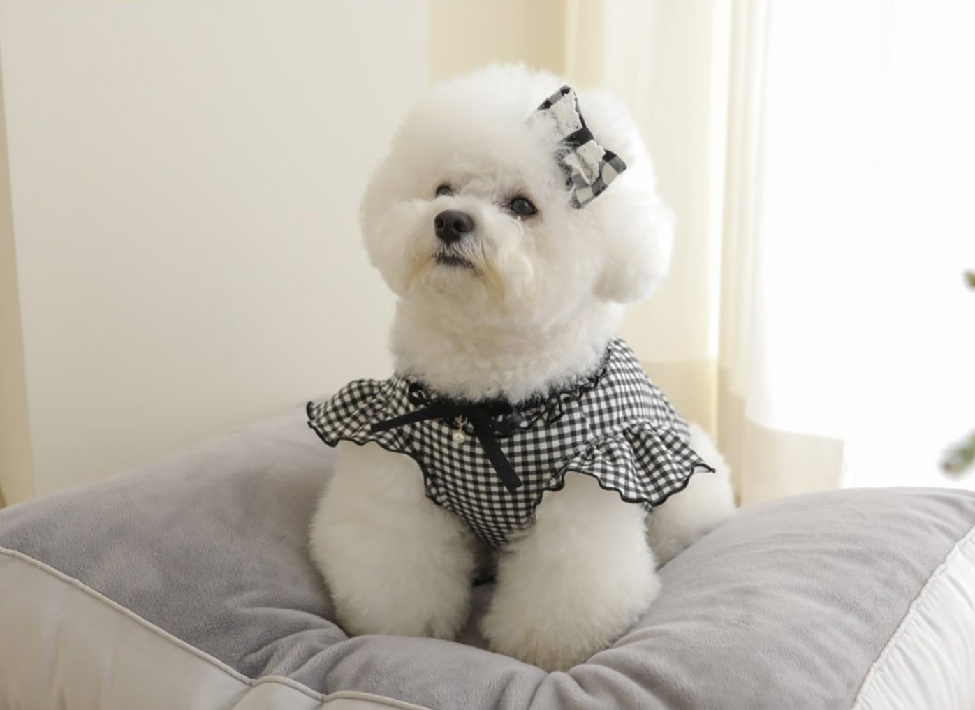 Check Frill T-shirt