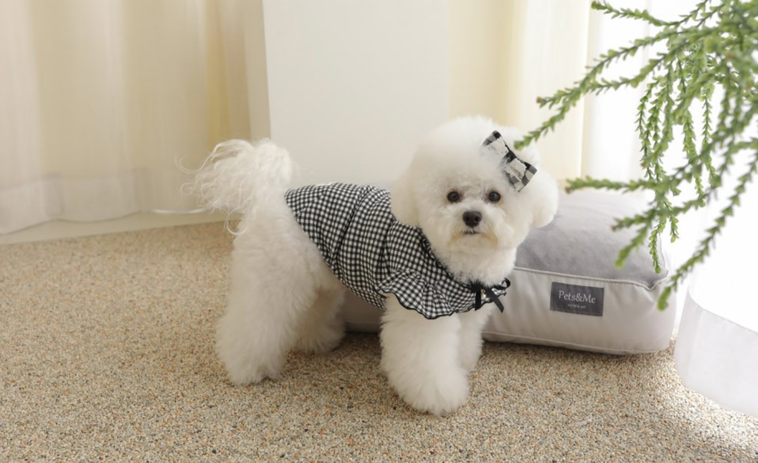 Check Frill T-shirt