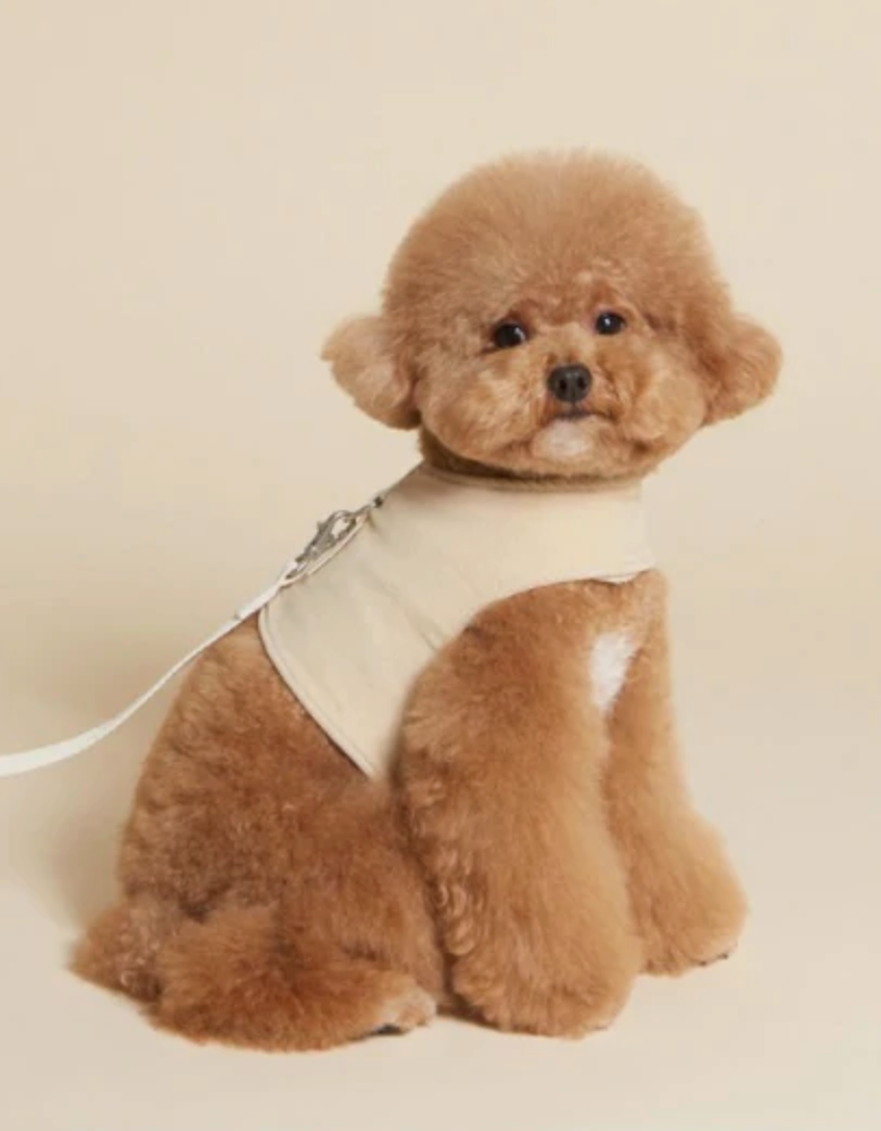 Corduroy Harness