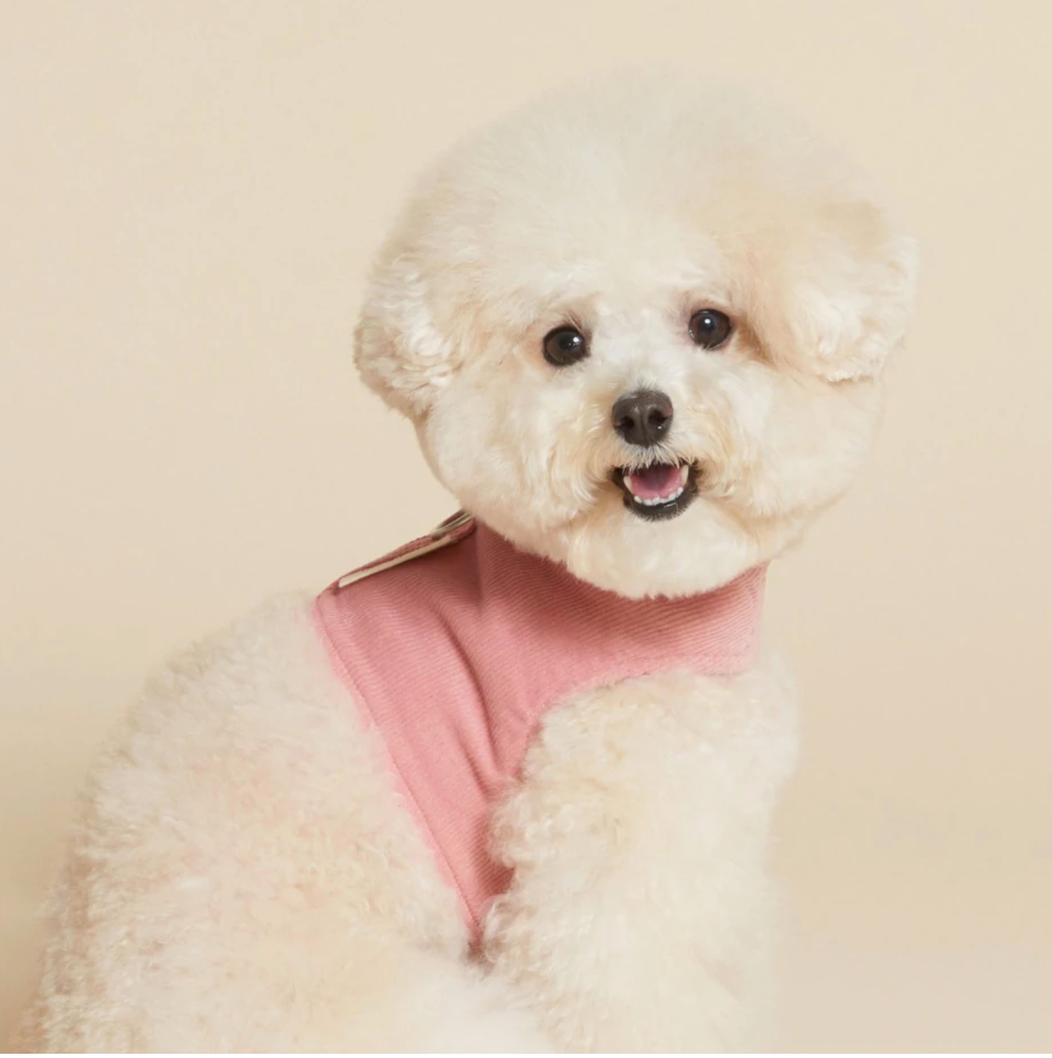 Corduroy Harness