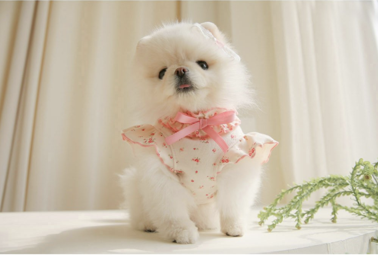 Blooming T-shirt