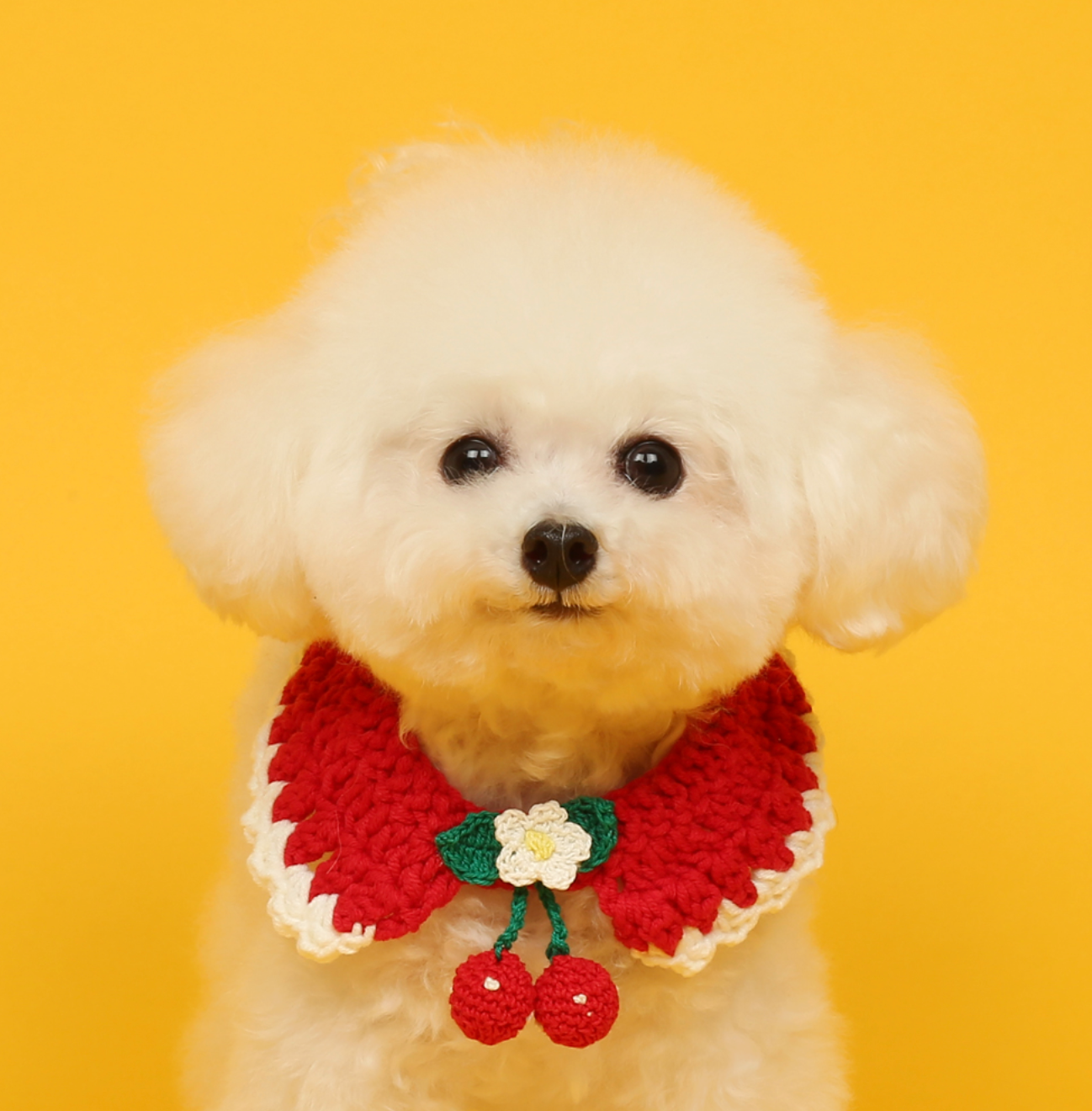 Cherry Scarf