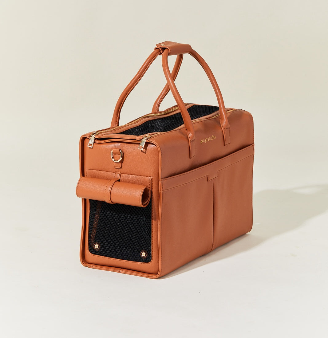 Modern Leather Carrier
