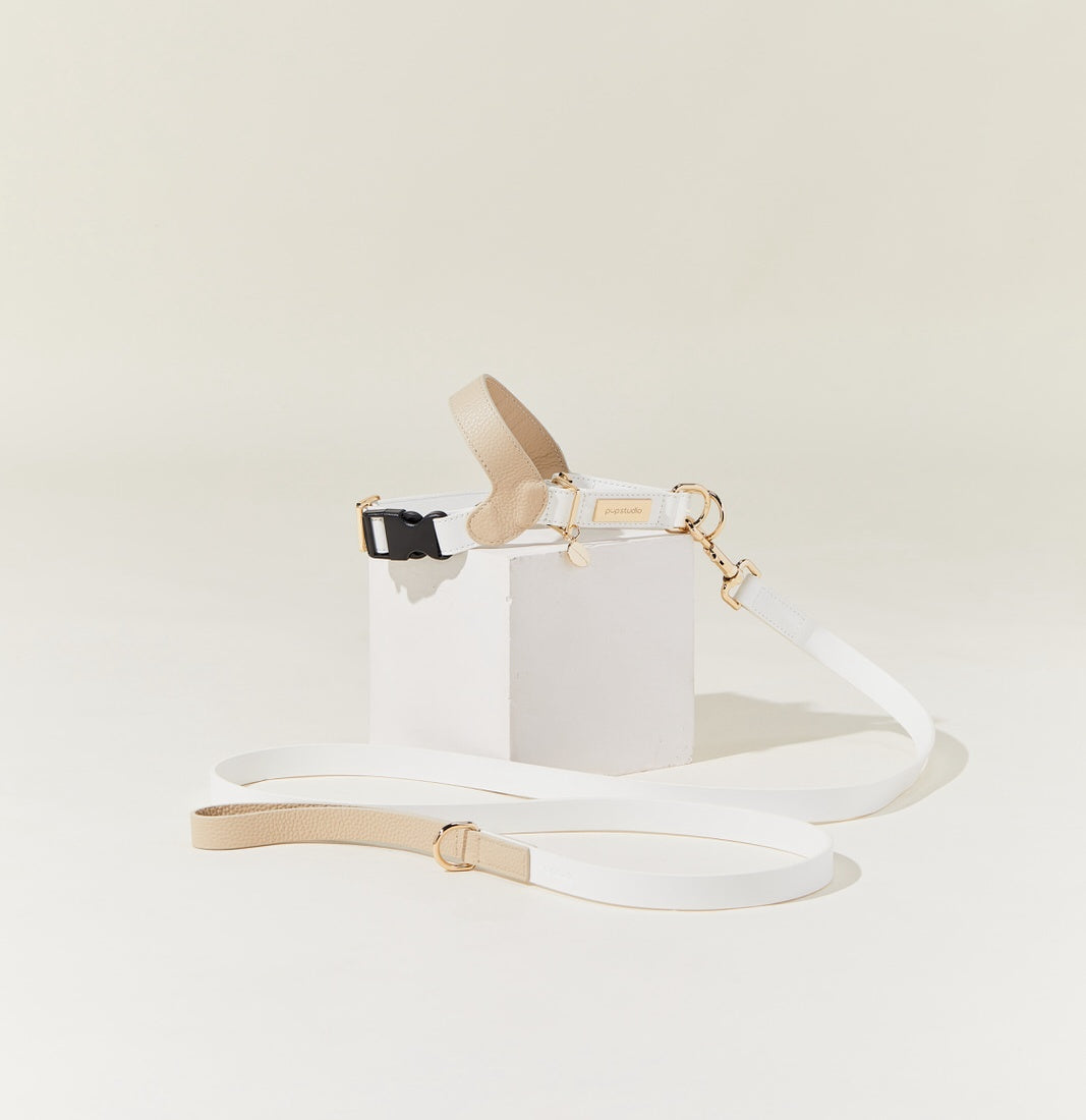 Genuine Leather Harness with Leash