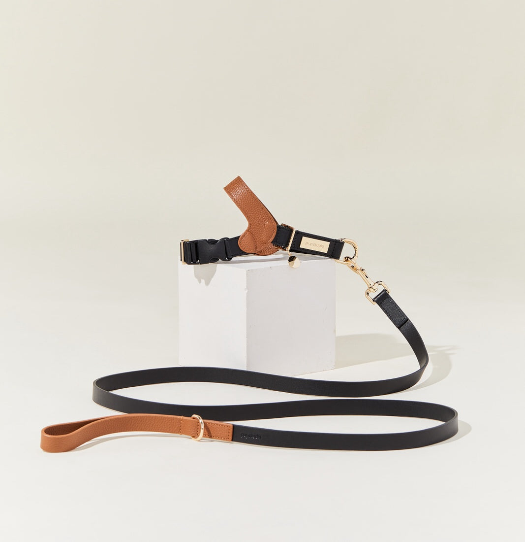 Genuine Leather Harness with Leash