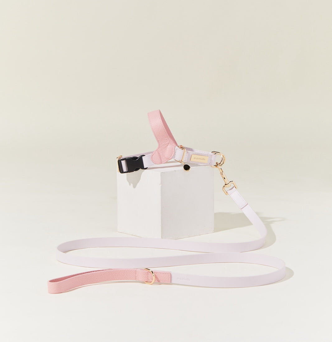 Genuine Leather Harness with Leash