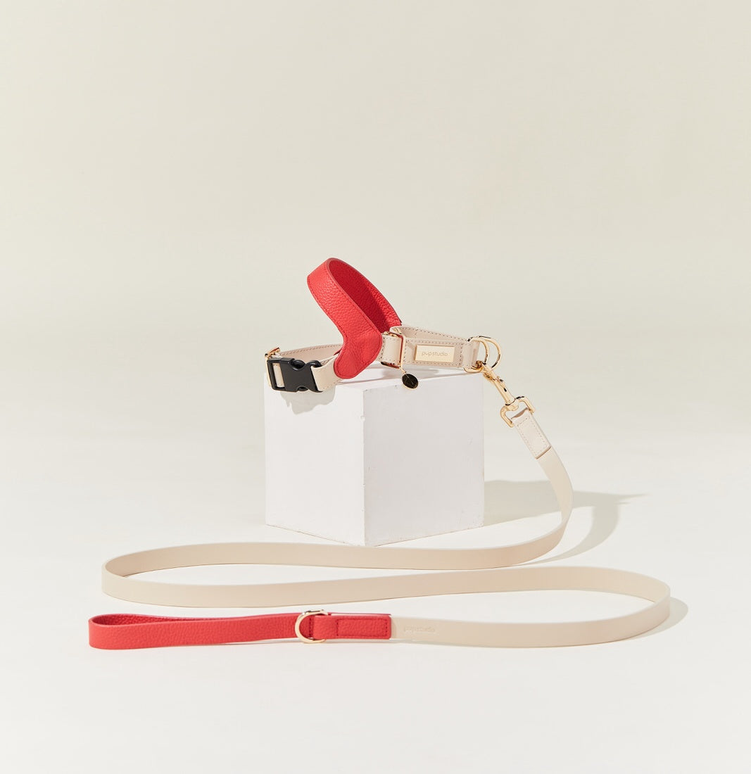 Genuine Leather Harness with Leash