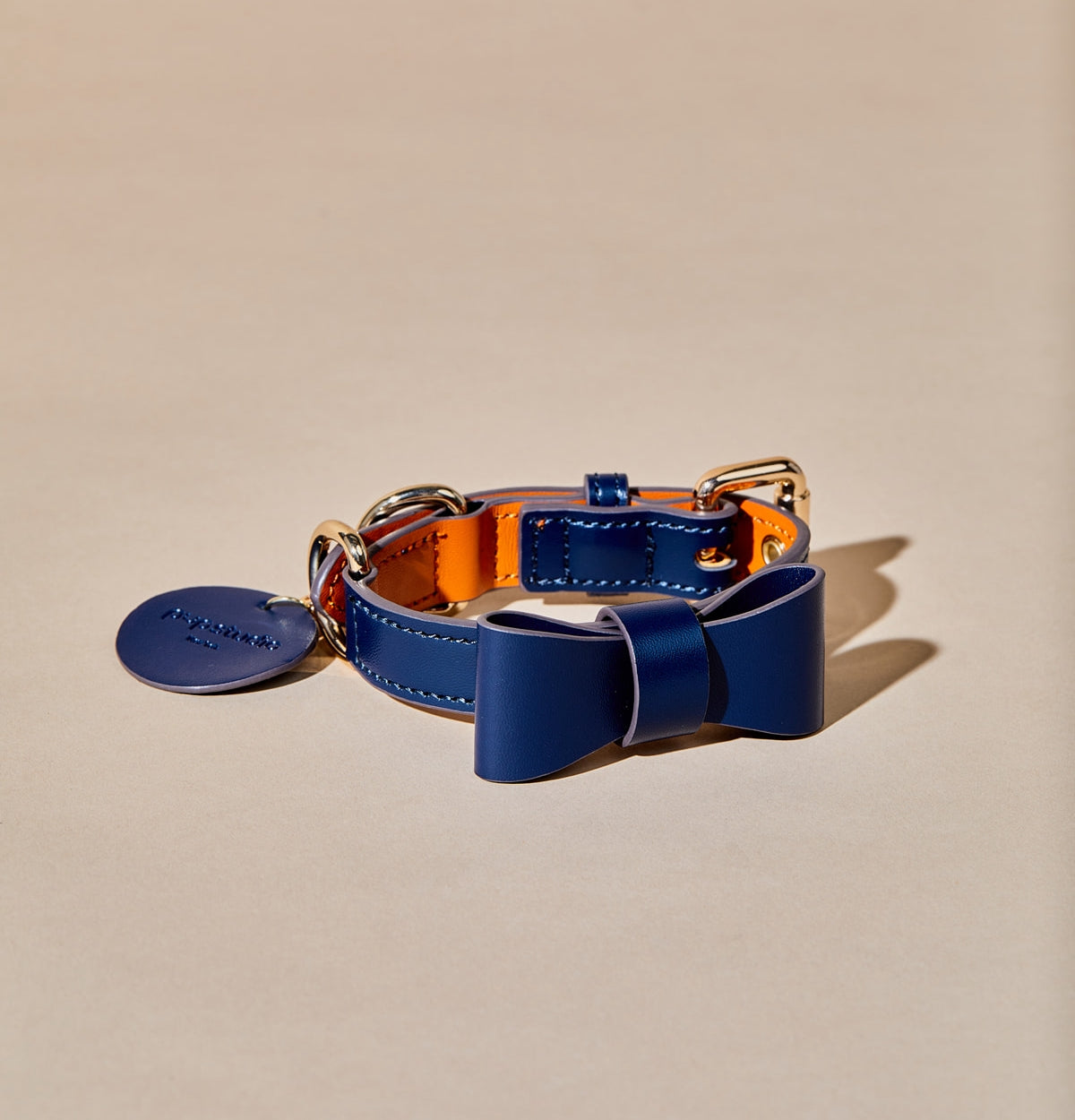 Ribbon Collar w Leash & Waste Bag